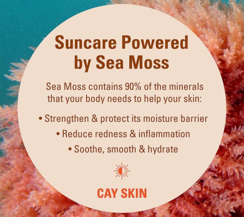 Bath & Body |  Mo’Bay Mineral Suncreen Spf 30 1.7 Oz Bath & Body Bath & Body