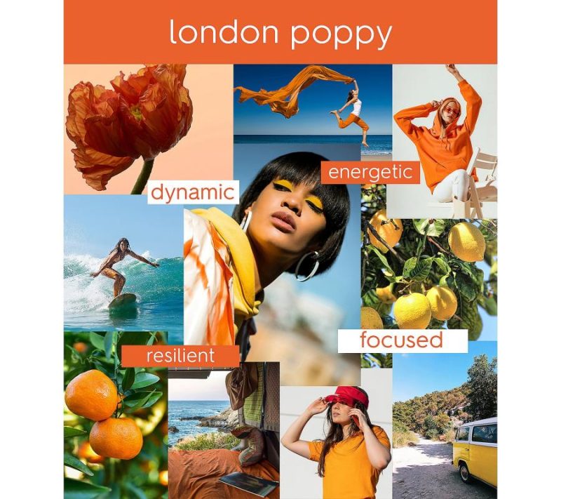 Fragrance |  1.7-Oz London Poppy Eau De Parfum & Travel Set Fragrance Fragrance