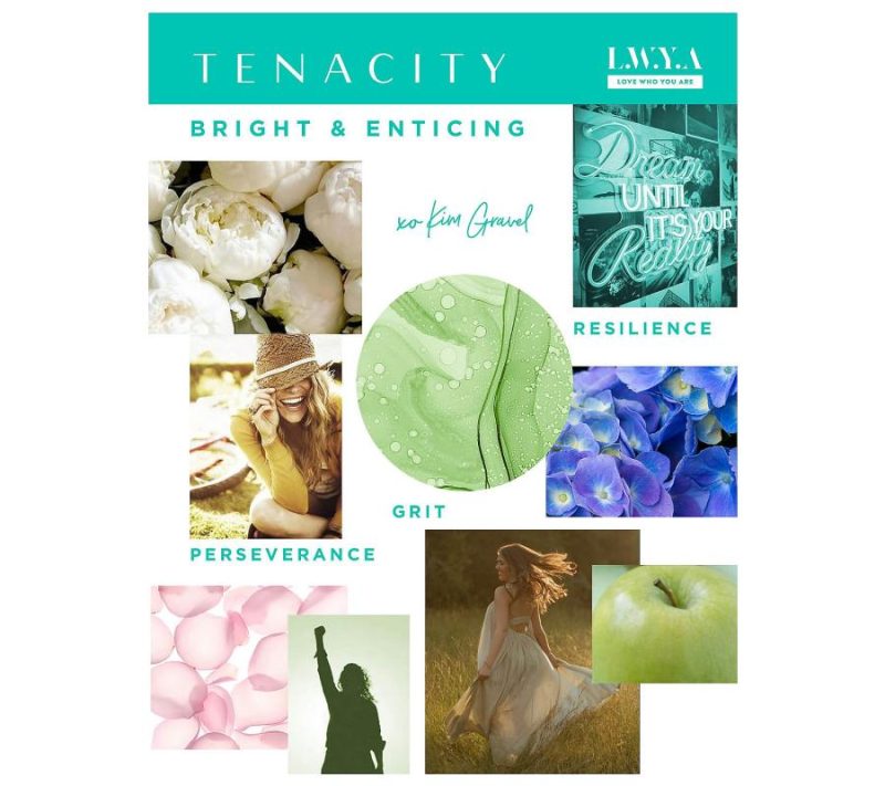 Fragrance |  Lwya Beauty By Kim Gravel Choice Of Fragrance Discovery Set Fragrance Audacity